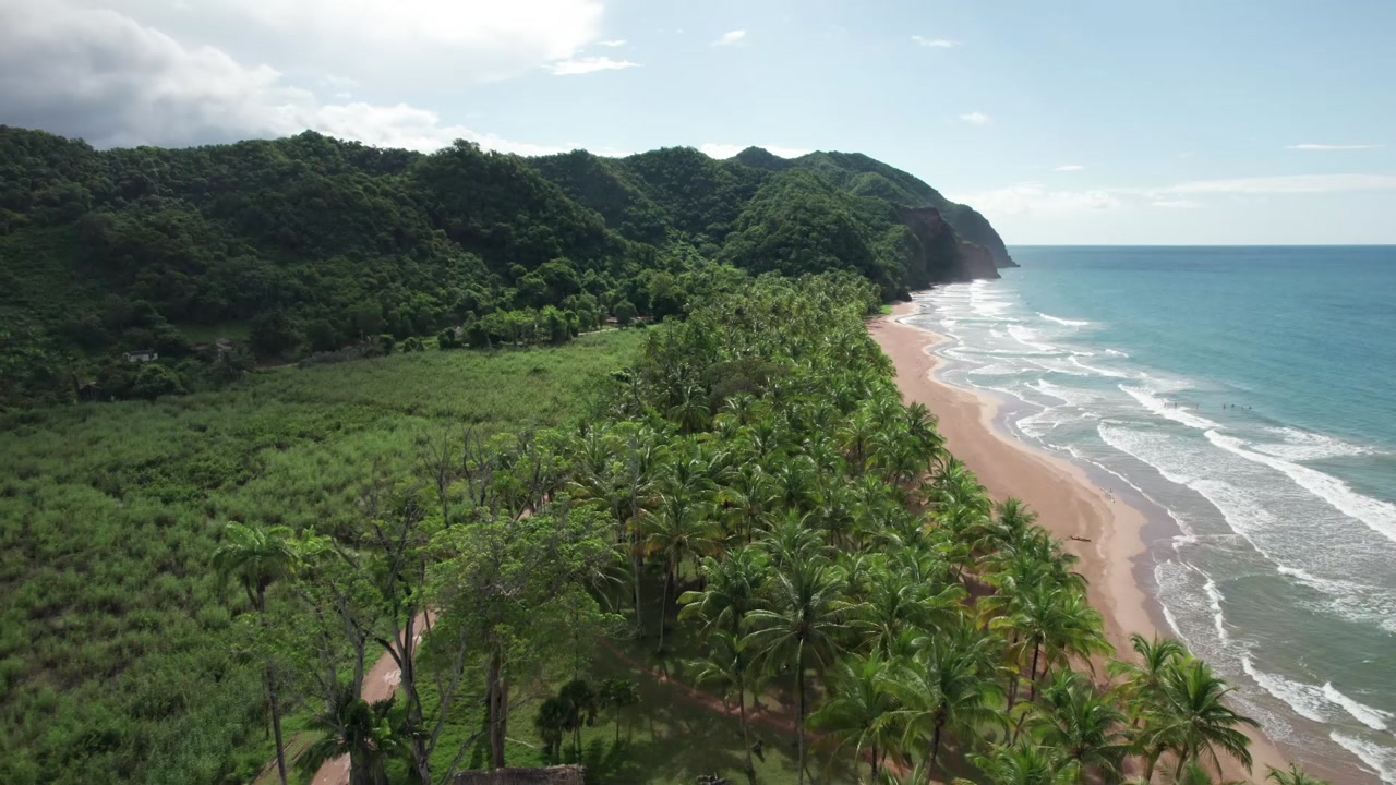 A stunning backward flight over the remote and beautiful Pui Pui Beach in Sucre, Venezuela, revealing the golden sand, turquoise ocean, and dense tropical jungle.