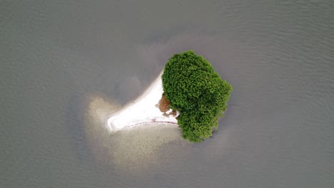 aerial drone bird's eye view over tiny navigator island, mandinga lagoon, veracruz, mexico at daytime