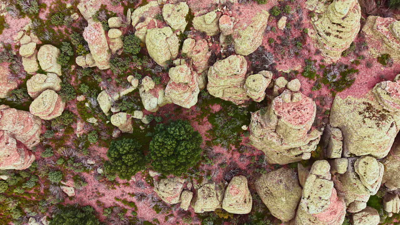 Rocce e vegetazione su un paesaggio con formazioni uniche in un'area naturale di giorno