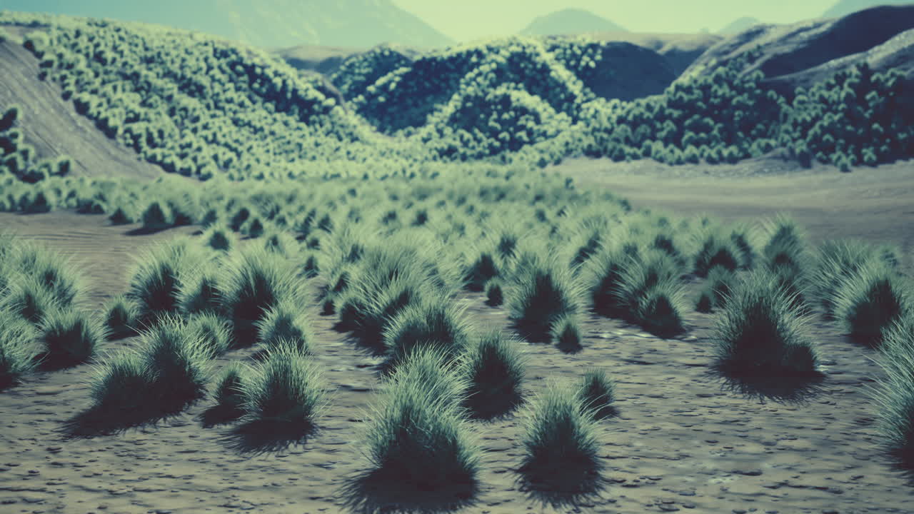 몽골 의 고비 사막 풍경