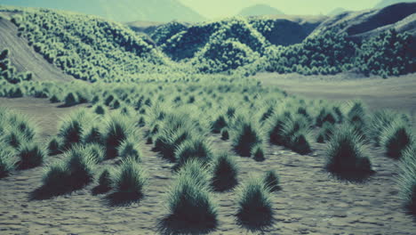 paisaje del desierto de gobi en mongolia