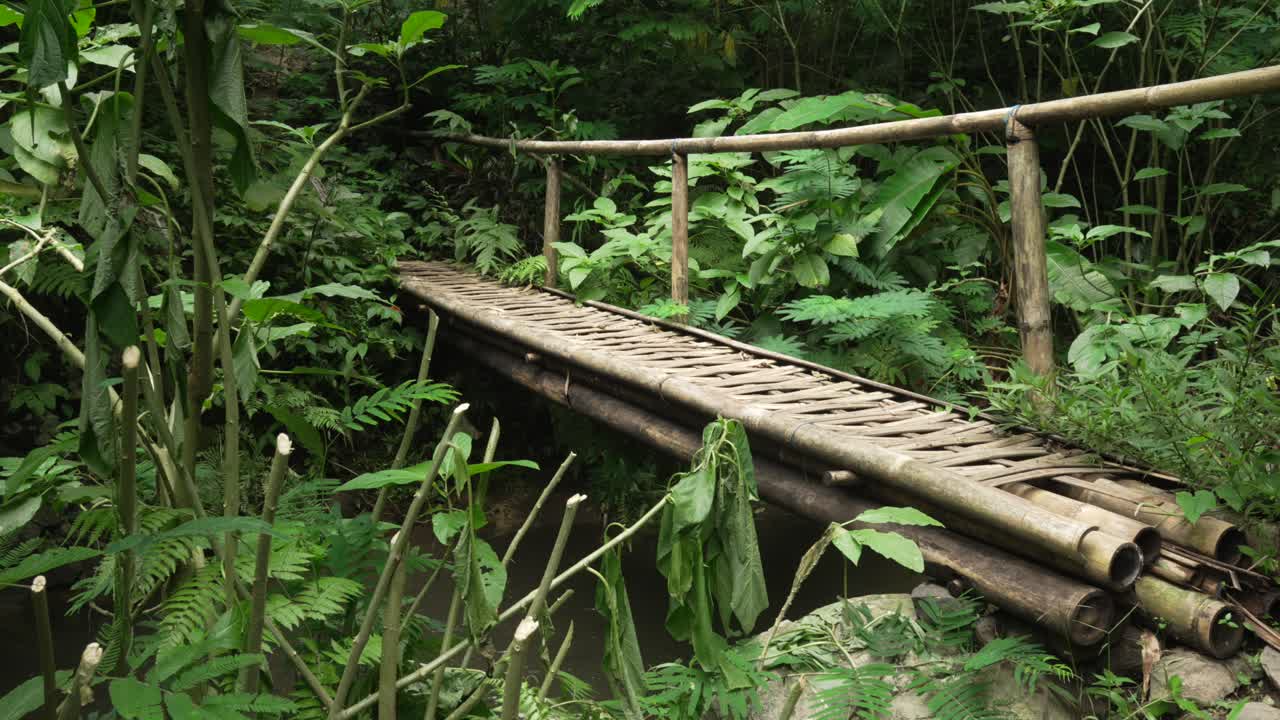 Bamboo wooden bridge over river creek Bali tropical jungle green plants nature