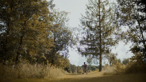 Female-tourist-exploring-on-grass-while-walking-by-trees