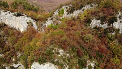 paradise mountain scenery with rocks surrounded by yellow brown trees in autumn