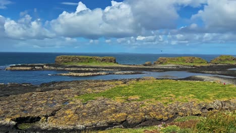 puffins on the clifftop of lunga island in treshnish isles, argyll and bute, scotland. - pan shot
