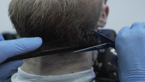 barber cutting a beard in belgium