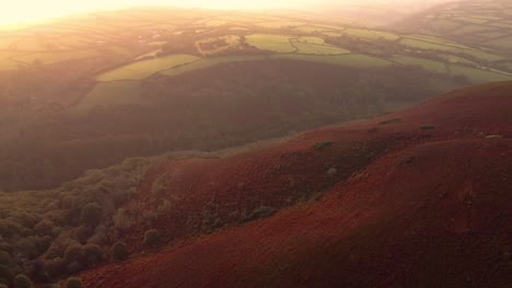 pushing aerial shot over exmoor at sunrise with rolling hills and farmed fields with deep valley with trees lining hillside. golden hour travel footage 4k.