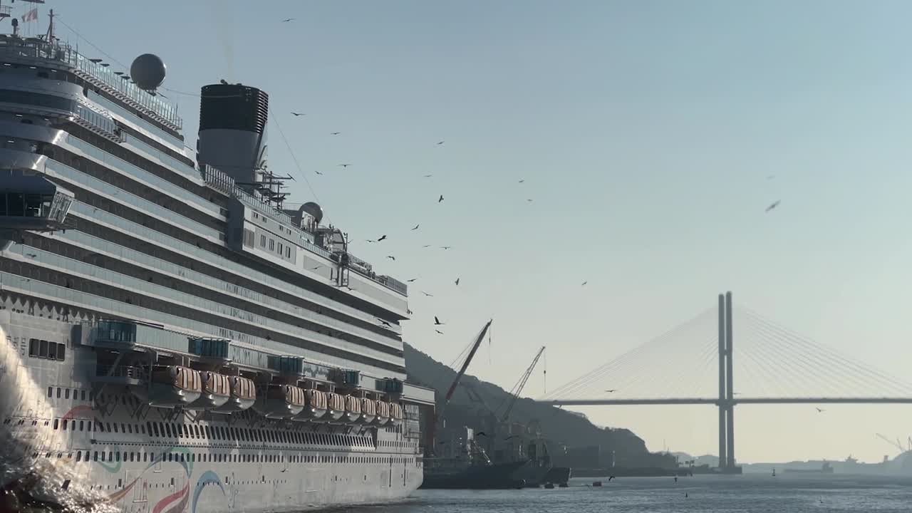 Bando de pássaros voando perto de um navio de cruzeiro