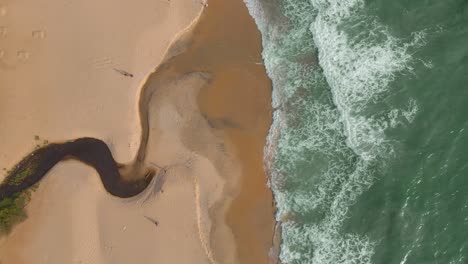 aerial top down view of few tourists having a stroll on the sands of the beach with waves hitting the shore, on a bright sunny day