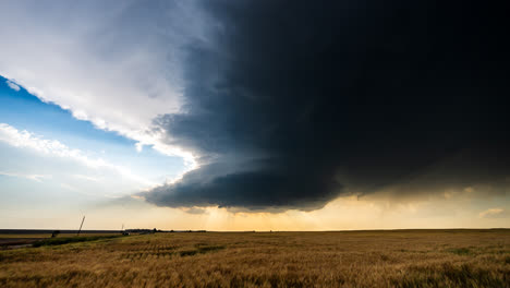 dramatic supercell storm over wheat field at sunset