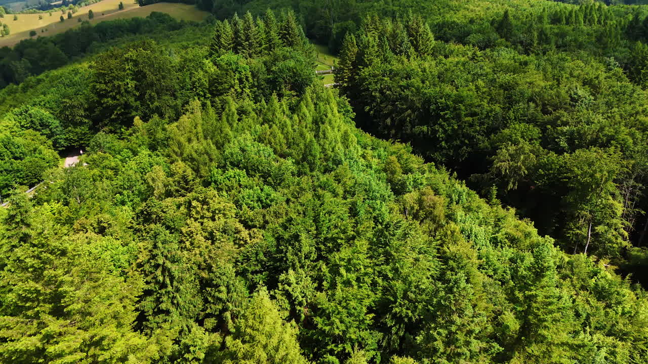 Truck on winding forest road. A truck turns onto a winding road surrounded by dense green trees during a sunny day in a rural area