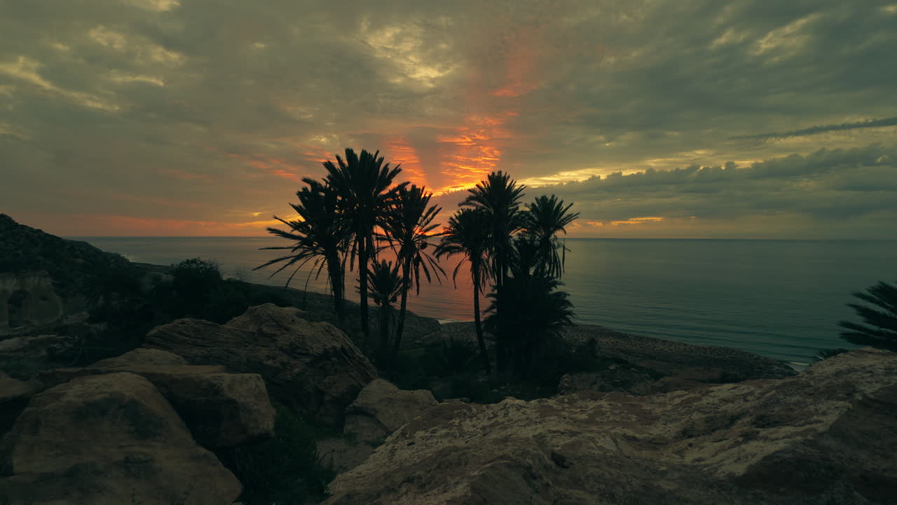 Dramatic Sunrise or Sunset over the Ocean with Palm Trees and Rocky Coastline