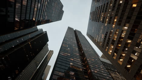 bottom view of modern skyscraper in business district