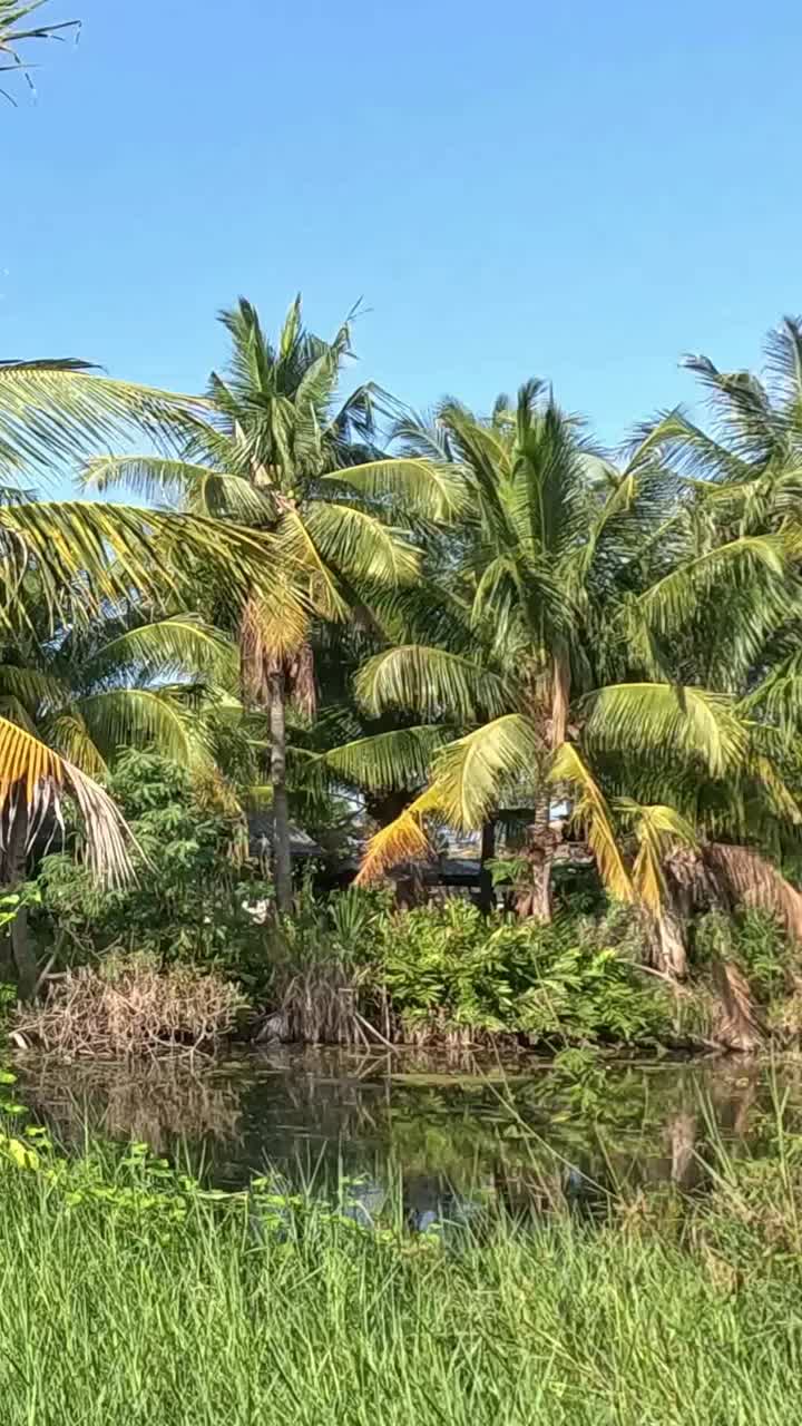 vegetación exuberante con palmeras balanceándose suavemente