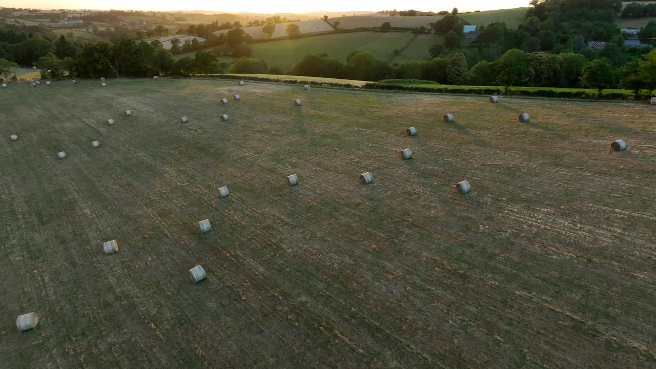 Hay Rolls On Harvested Field At Sunset Near Saint-Maigner In France. Aerial Drone Shot
