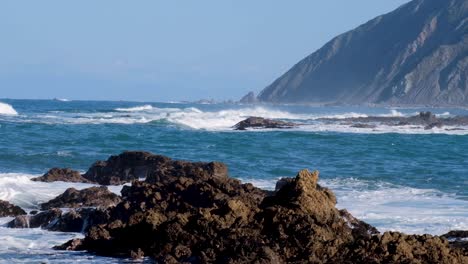 Seagulls-bobbing-on-a-rough-and-wild-ocean-with-white-wash-waves-rolling-in-towards-rugged,-rocky-shoreline-on-South-Coast-of-Wellington,-New-Zealand-Aotearoa