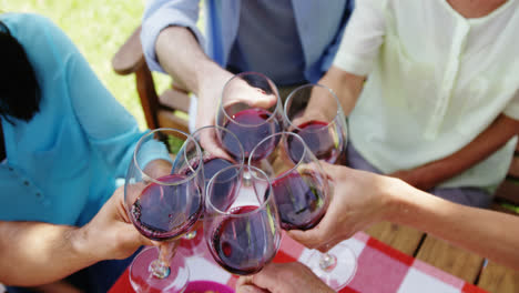family toasting glasses of red wine in the park