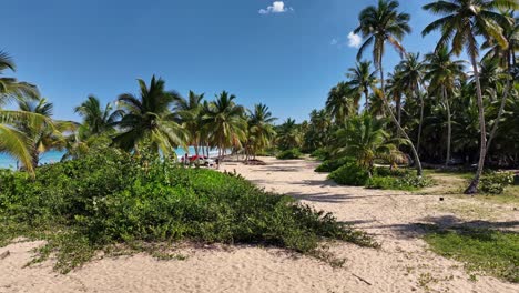 Aerial-low-flying-over-Caribbean-beach-sand-on-sunny-day,-Dominican-Republic