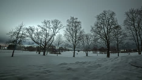 Overcast-winter-night-timelapse-of-trees