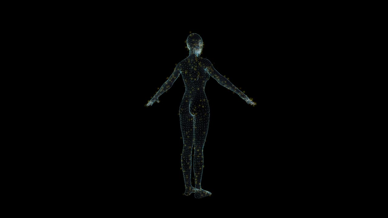 holograma femenina wireframe. buena animación 3d en un fondo negro con un bucle sin costuras para proyectos de futurismo