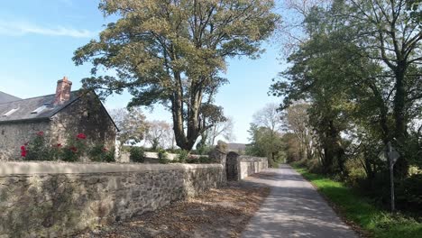 Traditional-cottage-in-rural-Ireland-with-stone-wall-and-rose-garden-autumn-afternoon