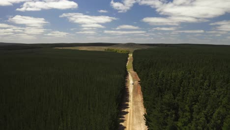 Aerial-drone-view-of-a-forest-in-Mount-Gambier,-South-Australia,-Australia