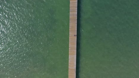 top down aerial view as tourists walk on wooden fishing pier with emerald green waters, el muellecito, monte cristi, dominican republic