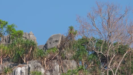 Visto-Con-Plantas-Y-árboles-En-La-Cima-De-La-Montaña-Moviéndose-Hacia-La-Izquierda