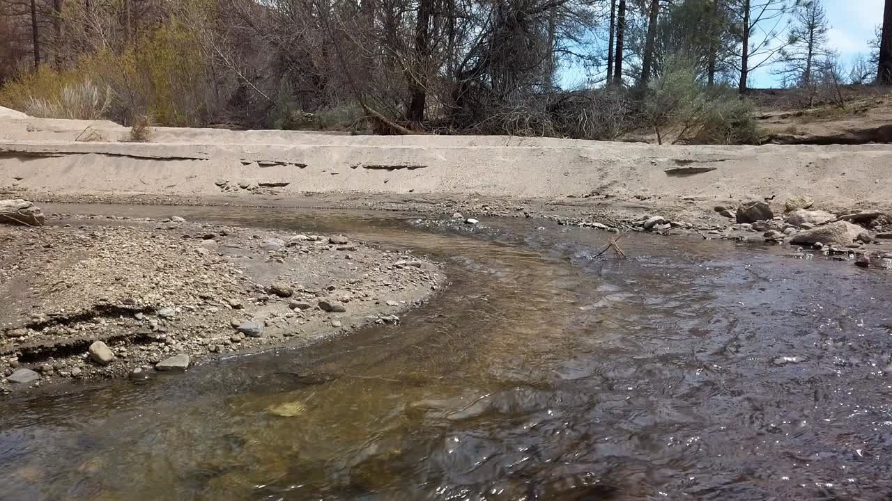 Kaliforniya, Idyllwild yakınlarında, birkaç yıl önce yangınla yanmış bir ormanlık alanın yanındaki bir derenin sabit kamera görüntüsü.