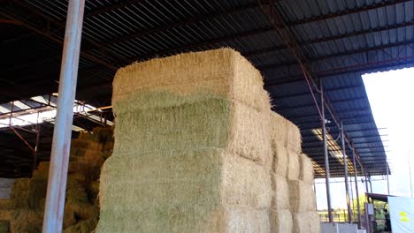 images from the barn in the barn