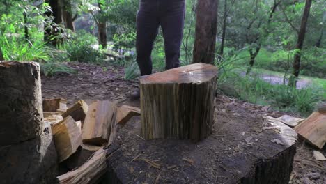 Man-pulls-axe-from-log-then-splits-wood-for-winter-fuel---Slow-Motion---green-rural-nature-setting---close-up-of-log,-man-at-work,-legs,-work-boots-and-work-gloves