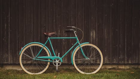a vintage bicycle stands leaning against a wooden fence, showcasing its elegant design and vibrant color against a natural background