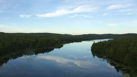 aerial view of a large pound in the middle of the forest