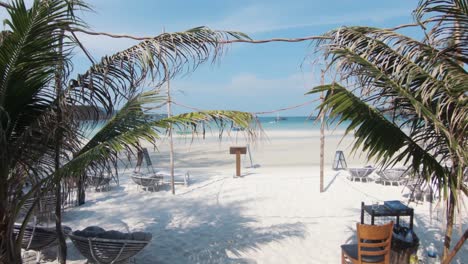 tropical holidays at the beach under the shadow of a palm tree