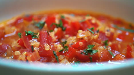 vista macro de sopa de tomate trukish en un bol y lista para comer