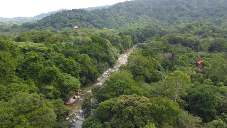 aerial dense forest separated by creek nature tayrona national natural park