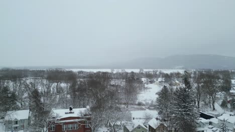 aerial pan across grey frozen snowy winter landscape with leafless trees