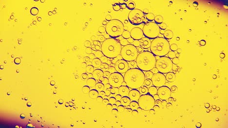 burbujas de aceite en la superficie del agua en movimiento, sobre un fondo amarillo, macro, pantalla de inicio, plantilla, espacio de copia