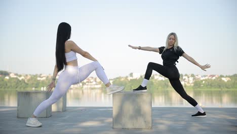 young women doing aerobics in city park outdoors morning sports training young women doing aerobics in city park outdoors morning sports training