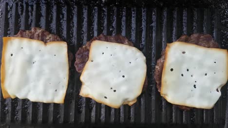 derretir queso en carne a la parrilla hamburguesa gourmet cocinar 01