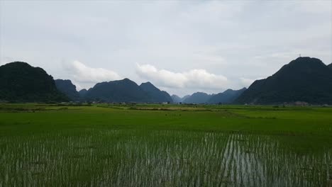 lush green bac son valley with mountains and cloudy sky in the backdrop