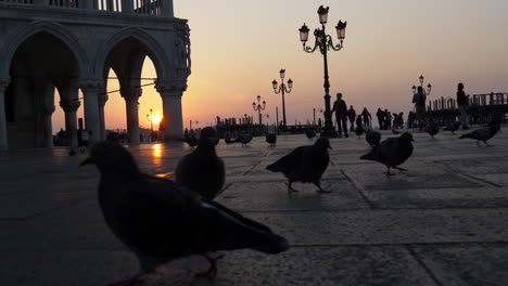 venecia, san marcos amanecer