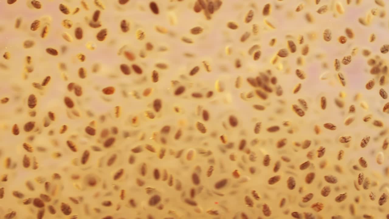 Chia seeds blending and rotating in water close-up macro yellow background. Dry healthy ingredient. Healthy superfood rich in Omega 3 fatty acids. Salvia hispanica