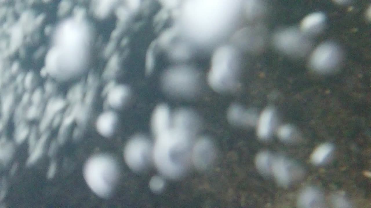 거품 순환의 고해상도로 수중 녹화