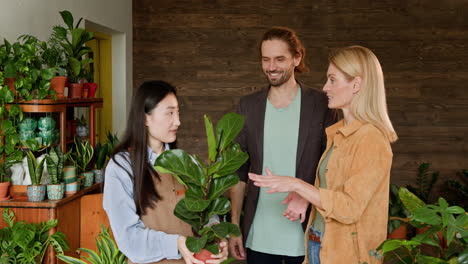 customer looking at plants in a plant shop