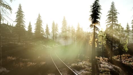 flight over railway