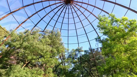 view of birdcage dome and trees