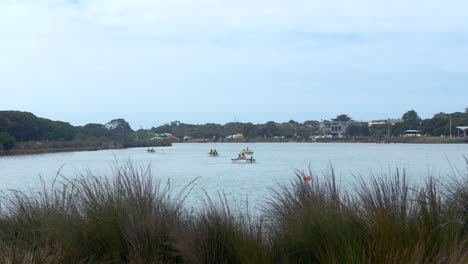 recreational boats occupied by tourists on a river, tilt up