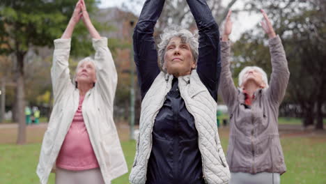 health, park and elderly women stretching