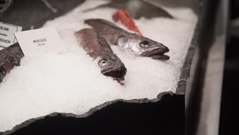 raw fish on display in a market